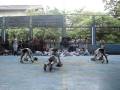 videos de AMA Manila (COE) SportsFest Cheering Competition 2008
