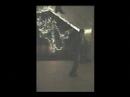 Napes does the Elaine - Best Dance EVER!