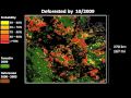 Forest Monitoring for Action (FORMA)