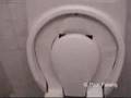 Most advanced toilet?