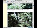 How to Find TIST Program's Latest Data - Grow Clean Air How to Find TIST Program's Latest Data - Grow Clean Air