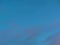 Wing Suit Fly By / MUST SEE
