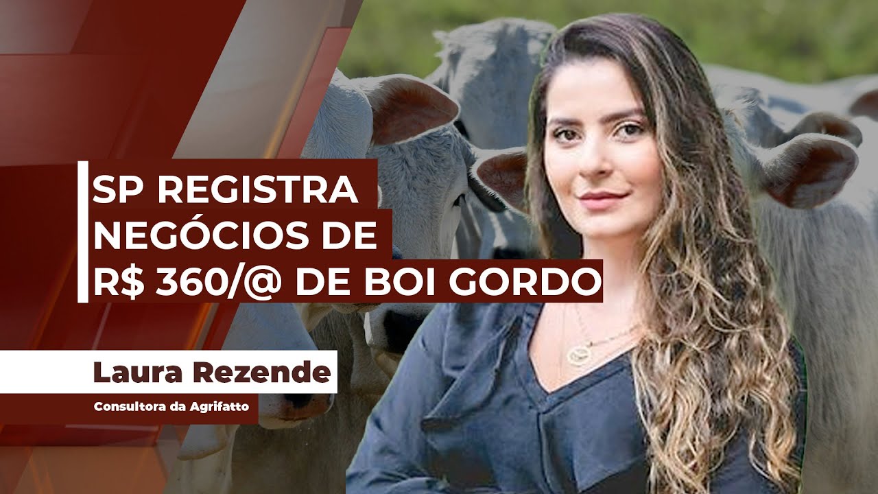Mercado doi boi já registra negócios pontuais de R$ 360 por arroba e segue reagindo à força ...