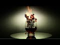 video made by :
http://www.aaronplatt.com

beginning of the original song, but later with the song featering timbaland

video made by them:
http://www.aaronplatt.com

i love their work!