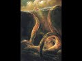 kraken/corazon felino