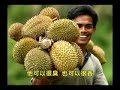 Muar Chinese Part 3(Negarakuku)