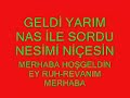 NES?M? NES?M?