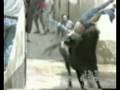 videos de UN TAUREAU EN FURIE