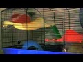 EvaMayMILF.wmv EvaMayMILF.wmv