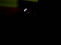videos de buiu