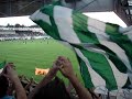 Ried - Rapid Wien 0:3 (0:1) 25.8.2007