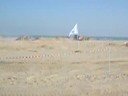 Daytona Beach - Jesolo