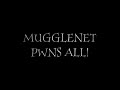 Sorcerer's Stone Story