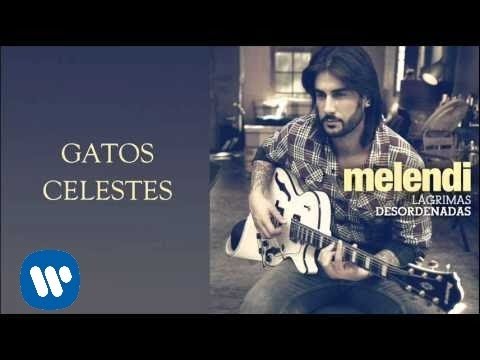 Gatos Celestes Melendi