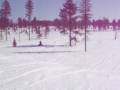 Chippewa County Slednecks