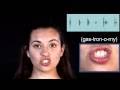 English Pronunciation - GASTRONOMY - #243