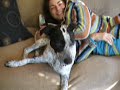 Bailey and Traci Playing