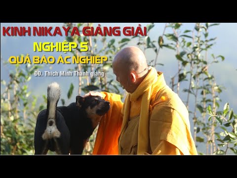 Kinh NIKAYA Giảng Giải – Nghiệp 5 – Quả Báo Ác Nghiệp