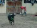 videos de taurisma cotahuasi