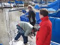 nonito-velero-panel-solar.html