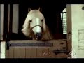 Axe Effect With Horses