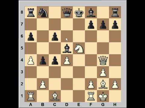 chess tactics chess tactics