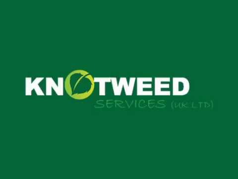 how to get rid of japanese knotweed uk