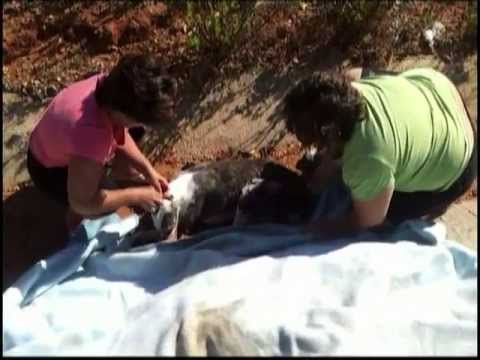 YouTube Preview Image