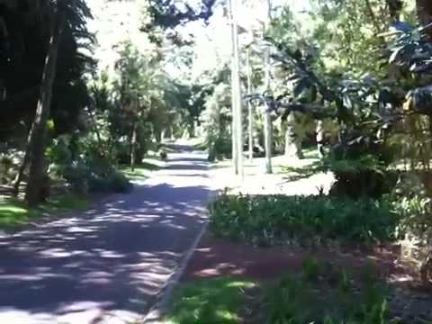 See video