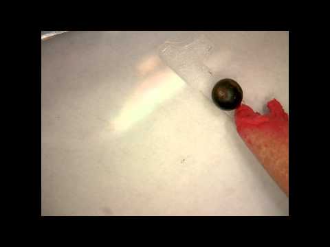 how to collect micrometeorites