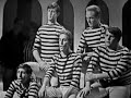 The Beach Boys - Surfin\