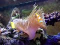 acuario grande acuario grande