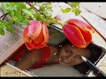 EMILIQ MURTVI SURCA-DIQNA.wmv