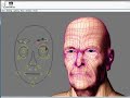 Facial Rig Facial Rig