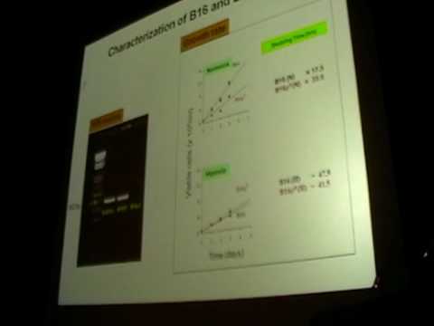 SENS4 – Effects of Mitochondrial Gene Deletion on Metastatic Melanomas (1/2)