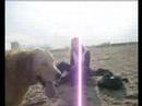 en la playa, el mar, con lore, los cachorros... que mas se puede pedir...  ah si Unos mates.....!!!