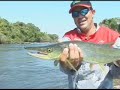 Momento da Pesca