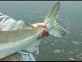 momento da pesca