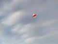 HOBBYFLY Mini F-5E TIGER EDF