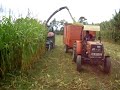 ma�s silage pt 3 2008 PORTUGAL ...