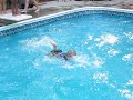 Aiden Autry Swimming 1