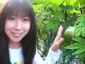河原優子　ガーデニング動画　野菜編