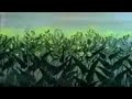 Bright Eyes (Watership Down) Bright Eyes (Watership Down)