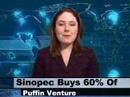Monitor maker ViewSonic Corporation has canceled its planned initial public offering. Also, Germany's chemical holding company Altana wants to buy U.S. specialty chemicals group Rockwood Holdings for $6 point 2 billion dollars. Meanwhile, Thomas Cook Group, Europe's second-biggest travel company, will buy back its Indian unit. Finally, China Petrochemical Corporation will acquire a 60 percent stake in Australia?s AED Oil's Puffin and Talbot oil ventures in the Timor Sea for $600 million Australian dollars in cash.
