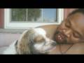 THE GANGSTA DOG Snoop Puppy Pup
