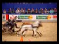4th scurry driving