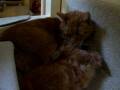 DSCF8908.AVI