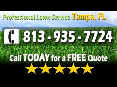 how to fertilize florida lawn