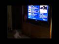 Morris-loves-Youtube