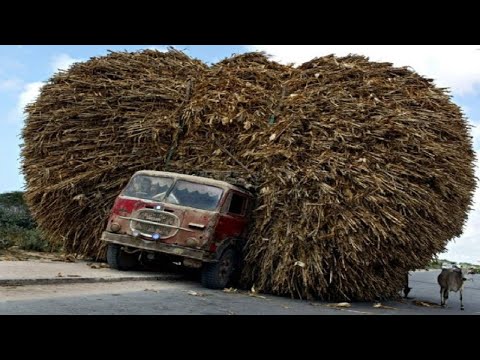 Dangerous Idiots Fastest Biggest Truck Fails Driving - Heavy Equipment Machines Fails Working